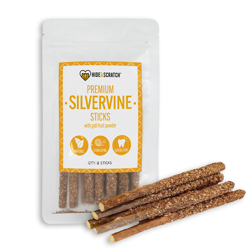 Premium Silvervine Sticks with Gall Fruit Powder (12 ct) (Case Pack of 20)