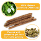 Premium Silvervine Sticks with Gall Fruit Powder (12 ct)