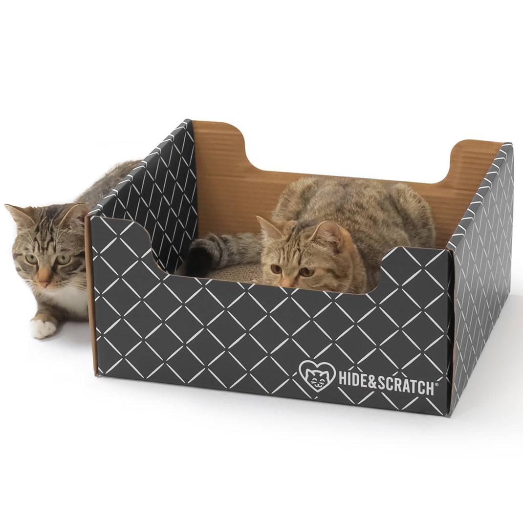 Hide & Scratch Cat Scratcher Box