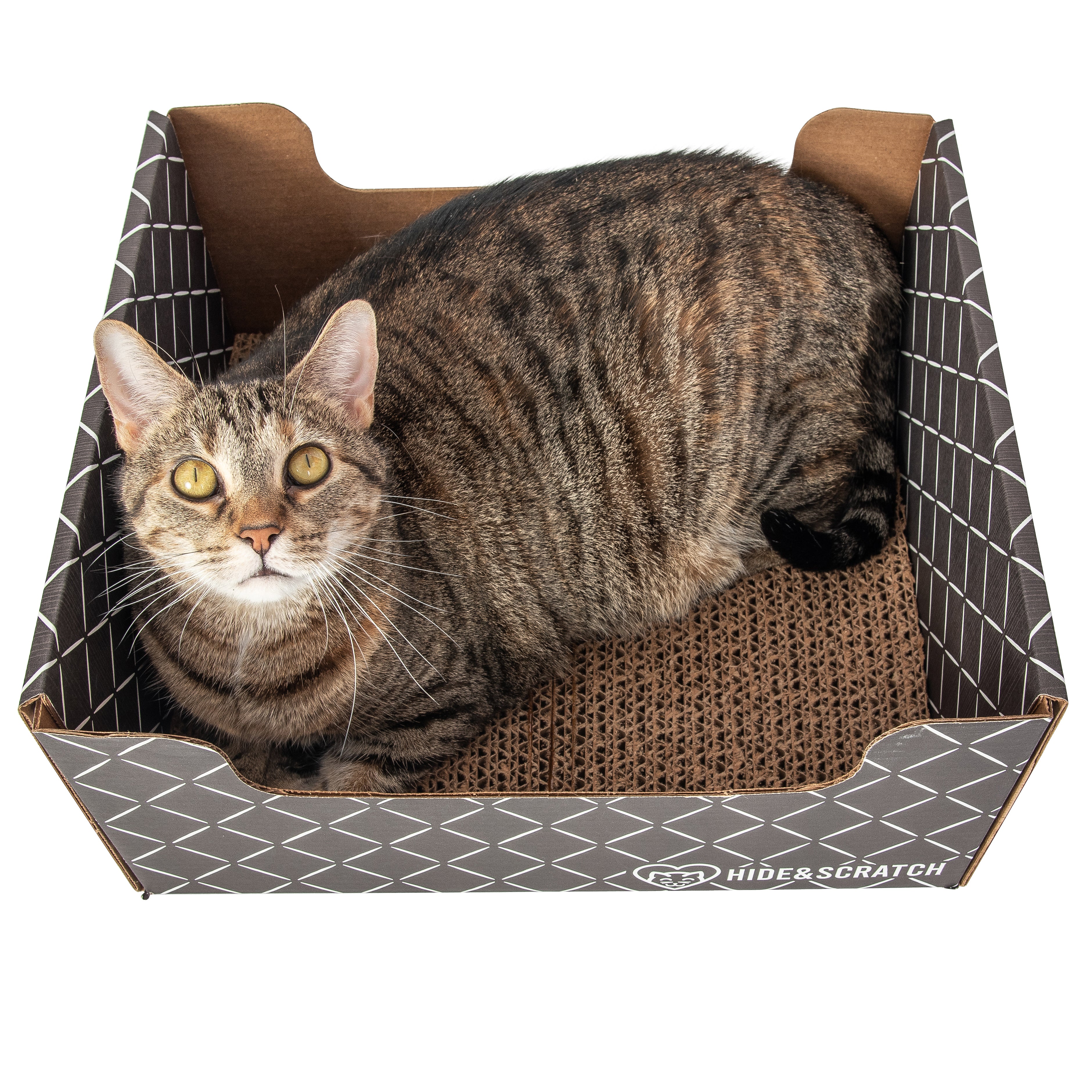 Giant cat outlet scratcher